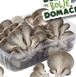 Bukovače 1 kg = 5,16 €