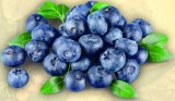 Borovnica Pakiranje 125 g