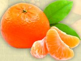 Mandarina Rinfuza 1 kg