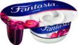 JOGURT FANTASIA razne vrste od 100 do 118 g