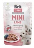 BRIT CARE 85 g 