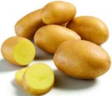 Domaći krumpir 2 kg 