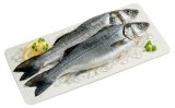 SVJEŽI BRANCIN 1 kg