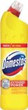 Domestos Citrus XXL