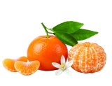 Mandarina 1 kg