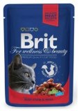 BRIT PREMIUM 100g 