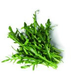 Salata rukola
