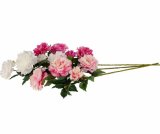 Rezano cvijeće GRANA BOŽUR 110CM GFS005291