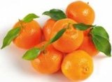 DOMAĆA MANDARINA