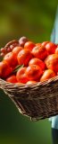 Domaća mandarina 2 kg