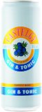 Gin & Tonic CASTELGY 0.33 l