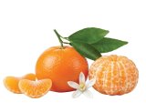 Mandarina