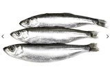 PAPALINA smrznuto, 1 kg