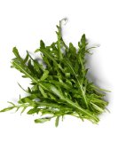 Salata rukola
