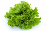 Salata gentile kom