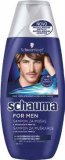 Šampon za muškarce Schauma 250 ml