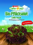 Bio sjeme Spar Natur*pur 1 pak.