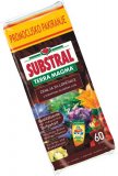 Zemlja za cvijeće Substral Terra Magma 60 l