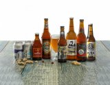 Pivo Fakin Ipa 0,33 l
