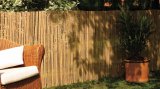 Zaštita od pogleda Nortene Bamboocane