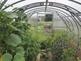 Plastenici Gardentec Clasic više dimenzija