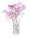Gypsophila (Sadarka) 1 kom
