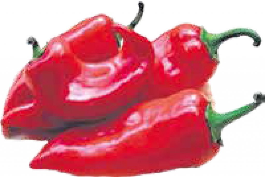 Paprika rog crvena 1 kg - KTC - Akcija - Njuškalo katalozi