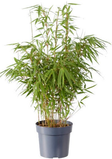 bambus 120 cm Künstlicher Bambusbaum 120 cm